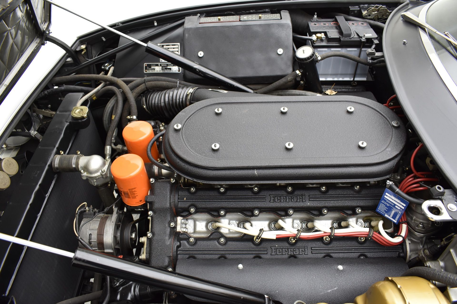 Loaded image